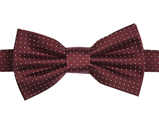 Noeud Papillon Soie Micro Pois Bordeaux et Bleu Ciel