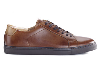 Sneakers homme Châtaigne Foncé Patiné - INGLEWOOD