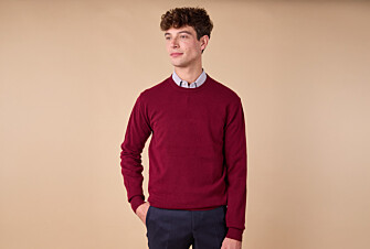 Pull col rond homme laine - Bordeaux - CONAN