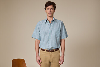 Chemise à rayures coton/lin Vert et Blanc - Coupe confort - COLTEN MC