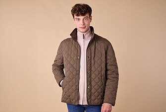 Veste matelassée homme Chocolat - TORSTEN II