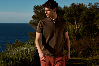 Polo habillé homme Cacao - BRAIDEN