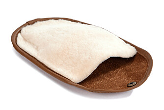 Gant Lustreur Chaussures