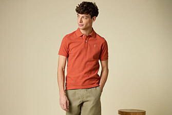 Polo homme - Rouille - ANDY II