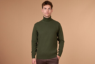Pull col roulé homme laine Vert - EMERIC