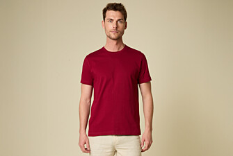 Tee-shirt coton bio uni Bordeaux - EDGAR III