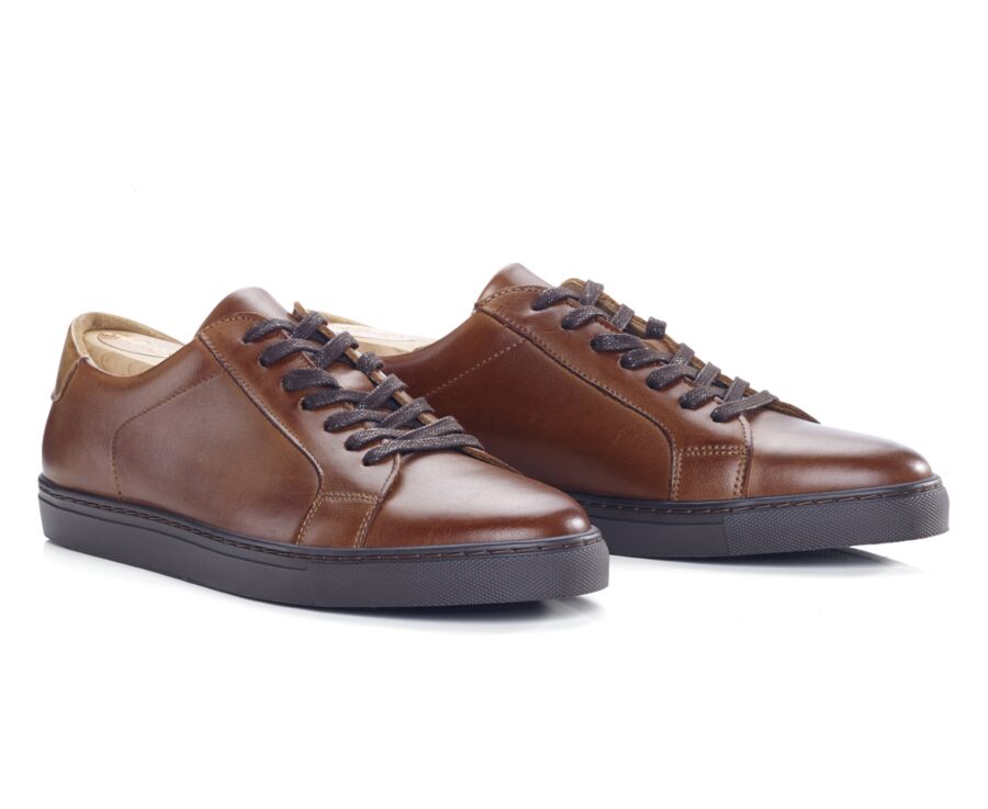 Sneakers homme Châtaigne Foncé Patiné - INGLEWOOD