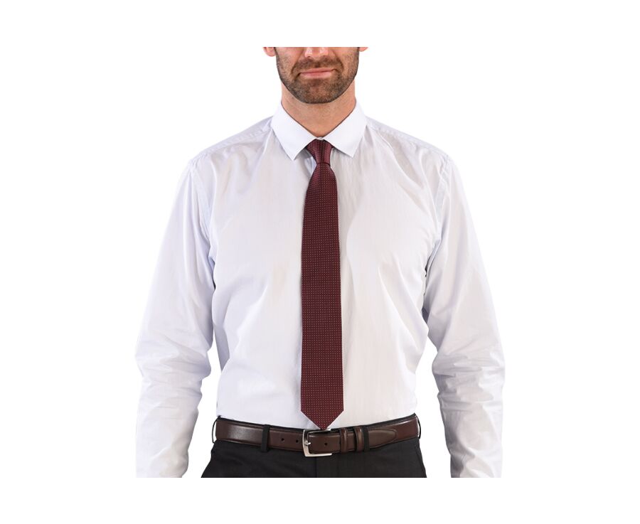 Cravate homme Soie Bordeaux Micro Pois Bleu Ciel