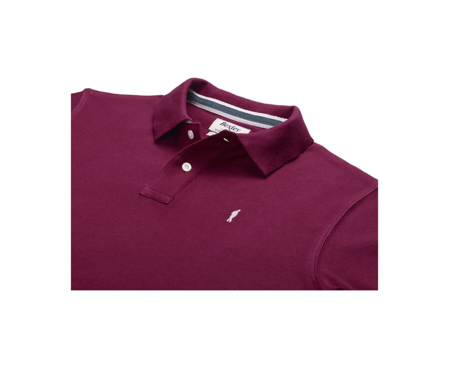 Polo homme Lie De Vin - ANDY II