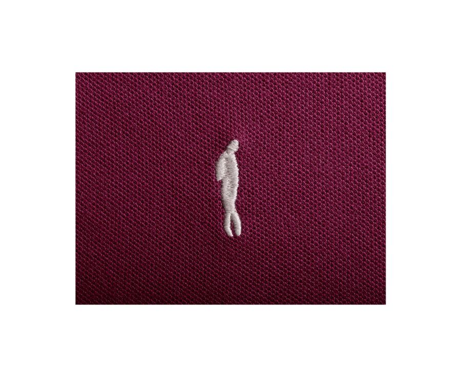 Polo homme Lie De Vin - ANDY II