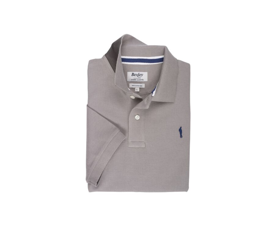 Polo homme Taupe Clair - ANDY II