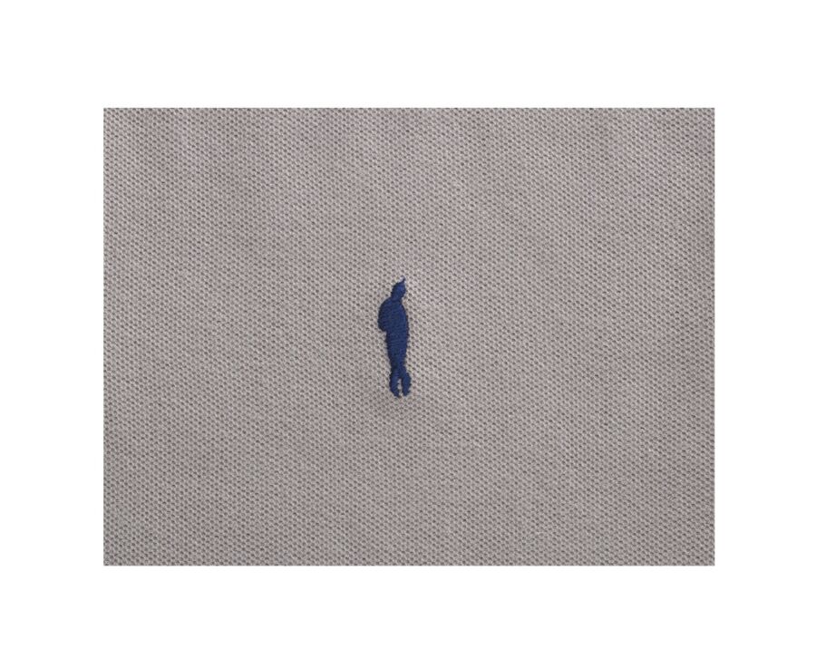 Polo homme Taupe Clair - ANDY II