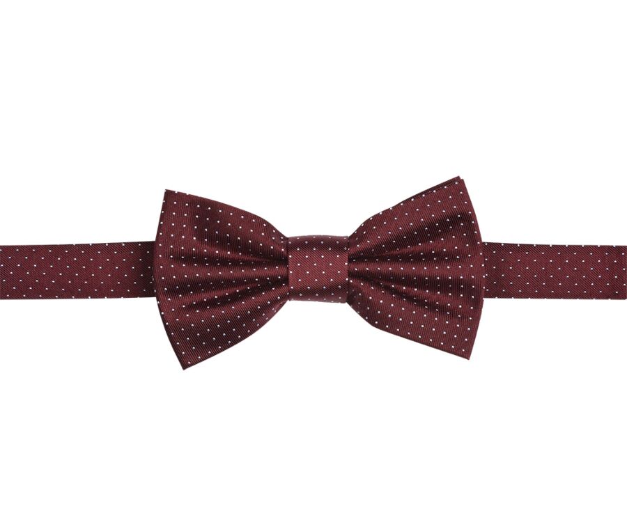 Noeud Papillon Soie Micro Pois Bordeaux et Bleu Ciel