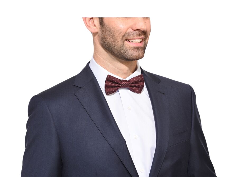 Noeud Papillon Soie Micro Pois Bordeaux et Bleu Ciel