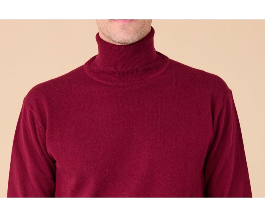 Pull col roulé homme laine - Bordeaux - EMERIC