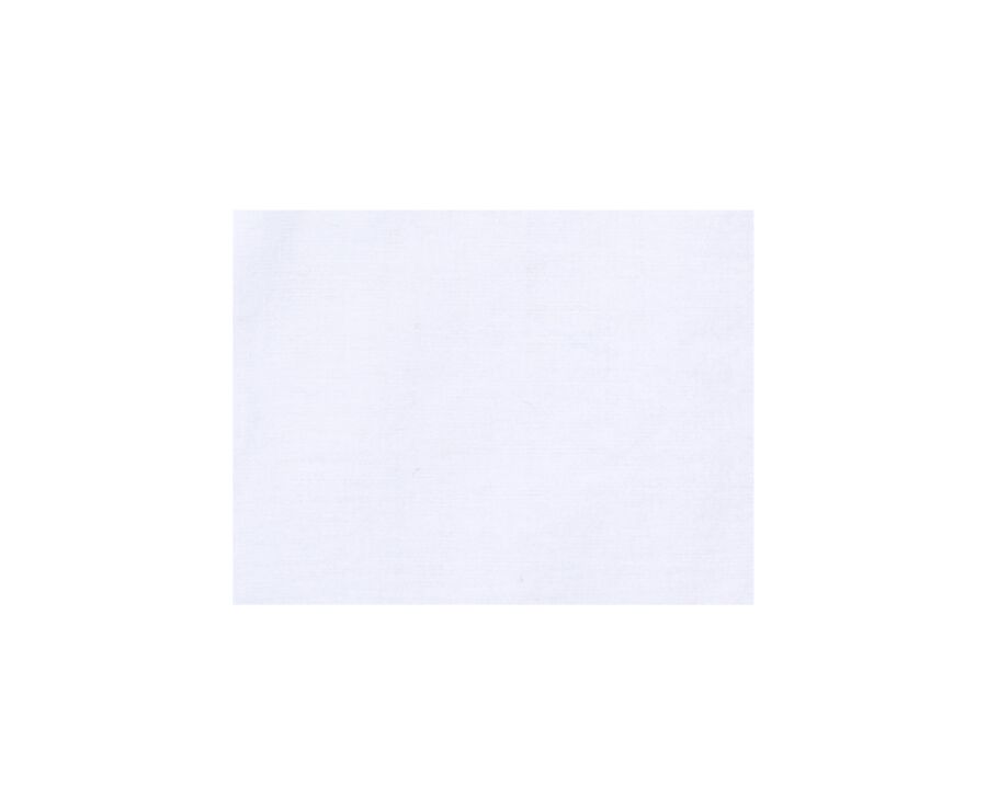 Chemise coton lin blanche unie - SILBERT
