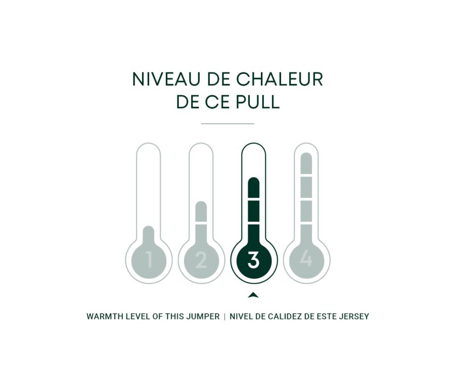 Pull col roulé homme laine Noisette Chiné - EMERIC