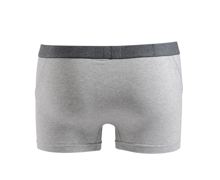 Boîte de 2 boxers homme Gris Chiné - ELLIOT
