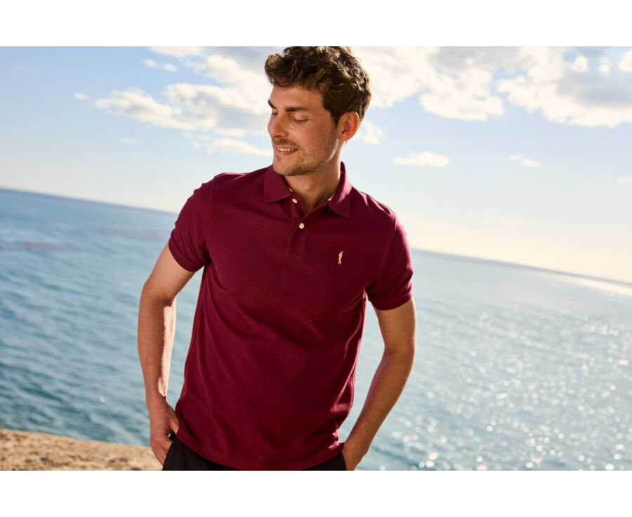 Polo homme Lie De Vin - ANDY II