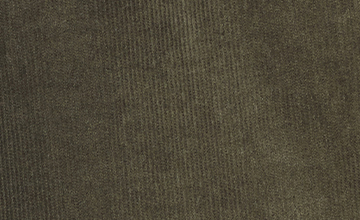 Velours côtes fines