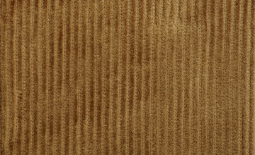 Velours côtelé large